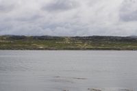
DSC00083